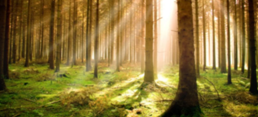 TOUR TÂY NGUYÊN – ĐAKLAK – GIALAI – KONTUM – ĐAKNONG – ĐÀ LẠT