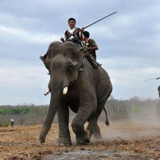 TOUR TÂY NGUYÊN – ĐAKLAK – GIALAI – KONTUM – ĐAKNONG – ĐÀ LẠT